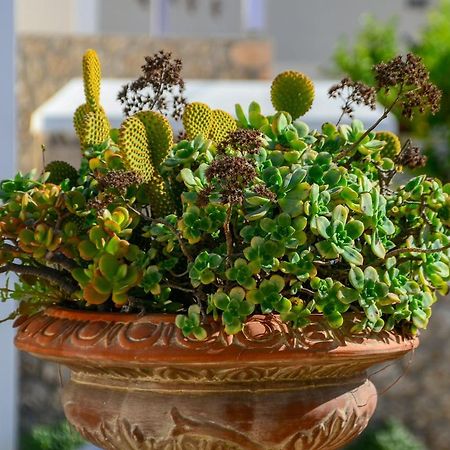 Villa Spetses エクステリア 写真